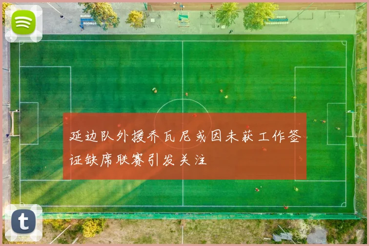 延边队外援乔瓦尼或因未获工作签证缺席联赛引发关注