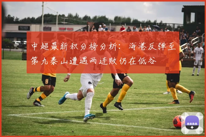 中超最新积分榜分析：海港反弹至第九泰山遭遇两连败仍在低谷