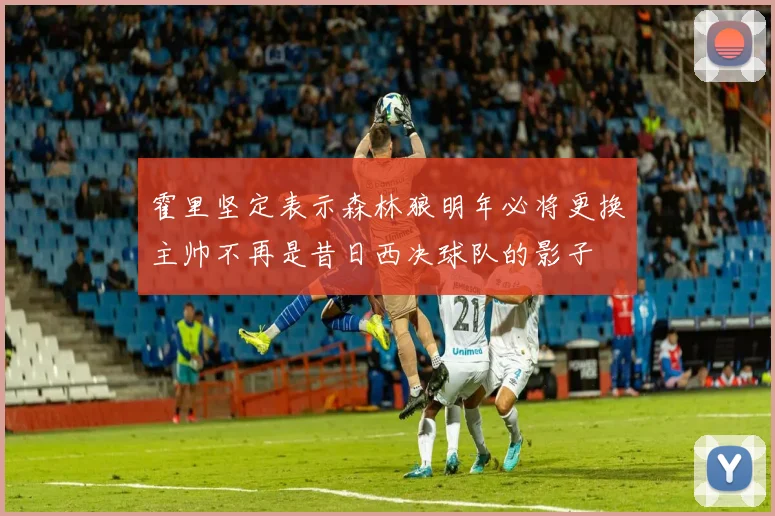 霍里坚定表示森林狼明年必将更换主帅不再是昔日西决球队的影子